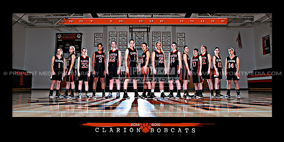 10x20 wide format