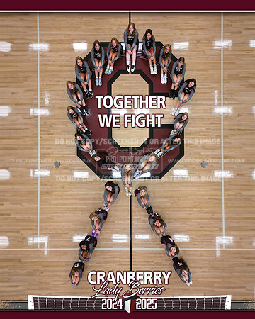 8x10_CranberryCancerRibbon_dji_fly_20240819_photo copy