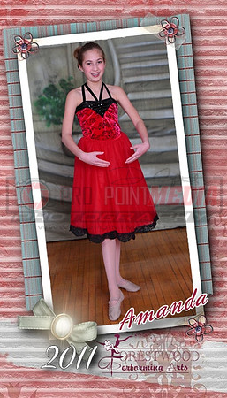 2x3.5 Photo Magnet (set of 2)